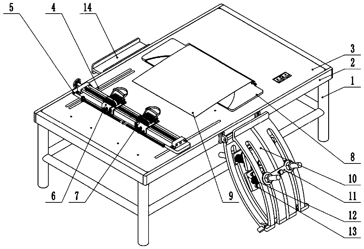 Medical diagnosis and treatment device for obstetrical and gynecological diseases