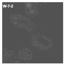 Lysosome targeted fluorescent substance and synthesis method thereof