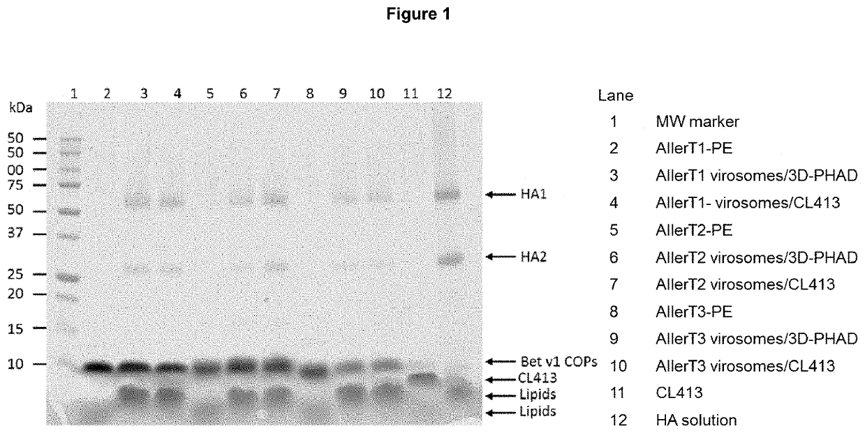 Methods of improving efficacy of allergy vaccines