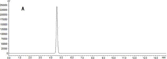 Method for processing honeysuckle tea