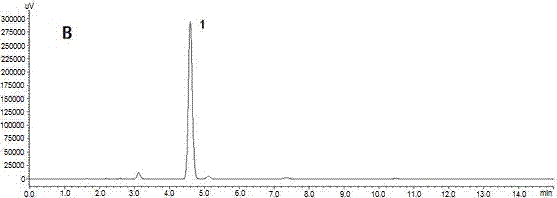 Method for processing honeysuckle tea