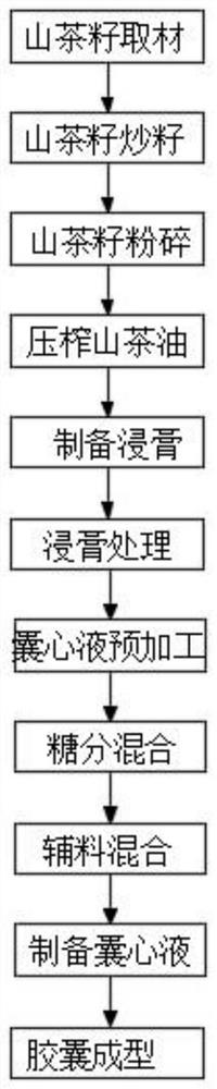 Camellia oil capsule and preparation method thereof