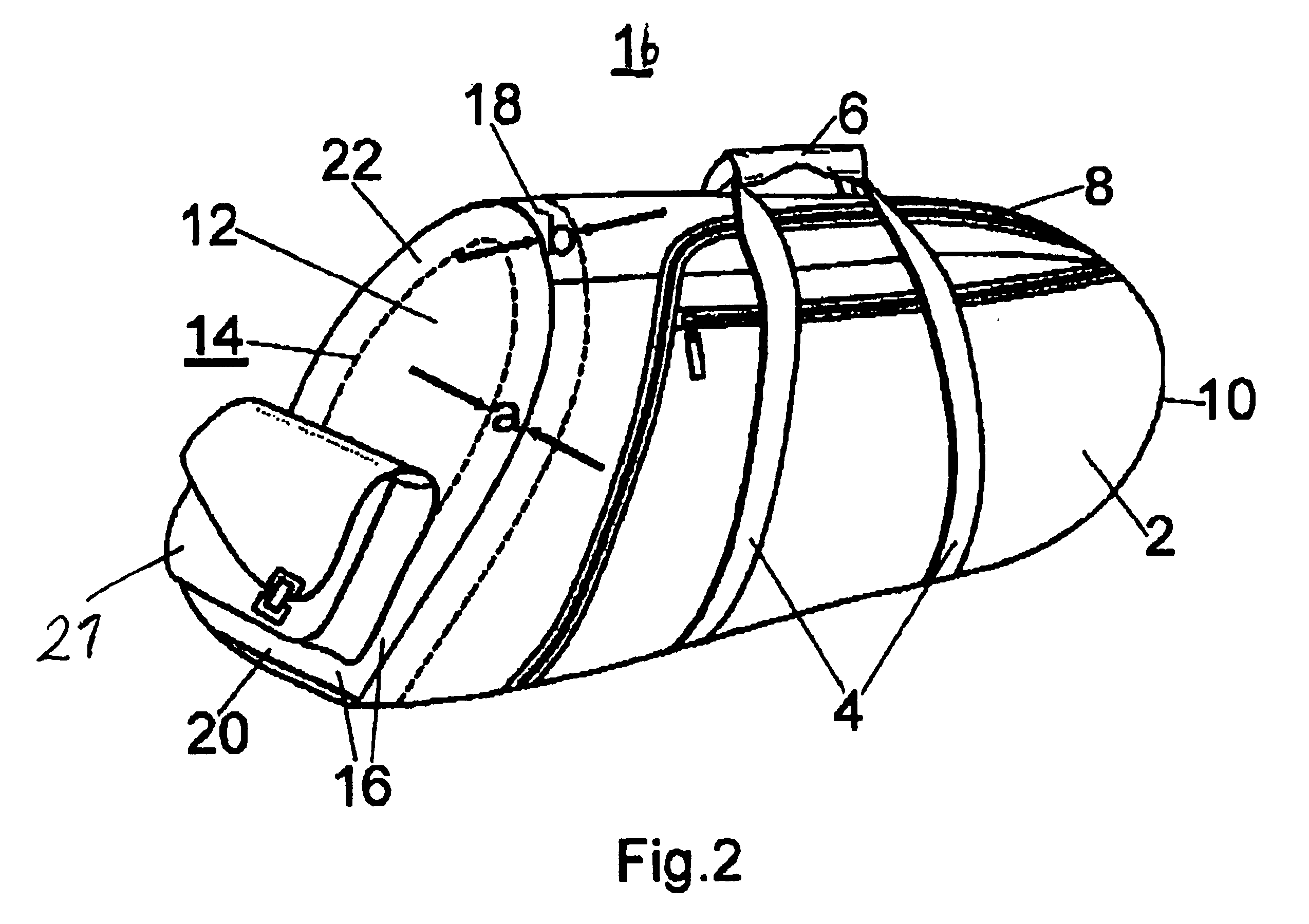 Carrying bag for a brass instrument