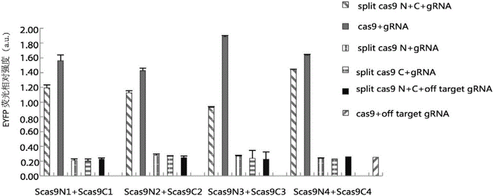 Method for carrying out gene editing and expression regulation by utilizing Cas splitting system