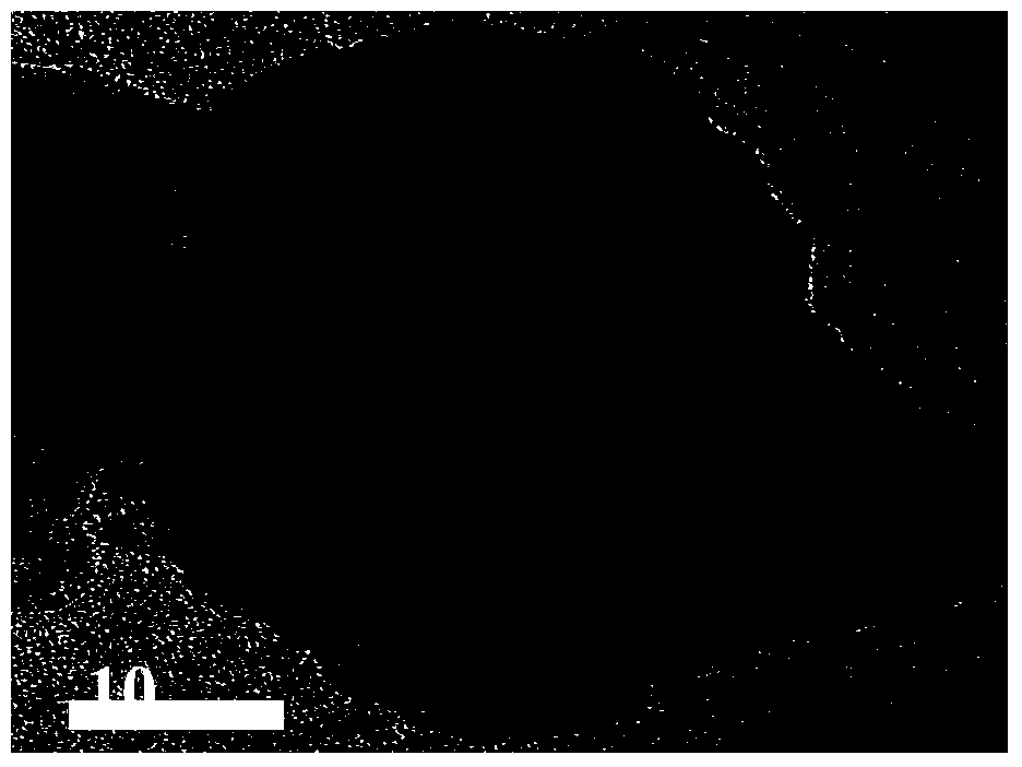 Method for preparing fatty alcohol from fatty acid or fatty acid ester by selective hydrogenation