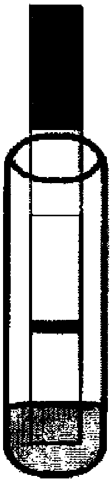 Influenza virus A IgA antibody immunofluorescence detection test strip, and preparation method, detection method, and applications thereof