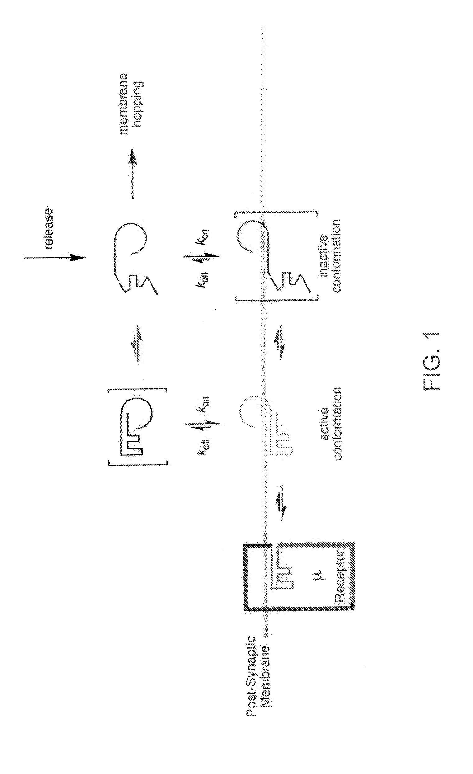 Enkepahlin analogs with improved bioavailability