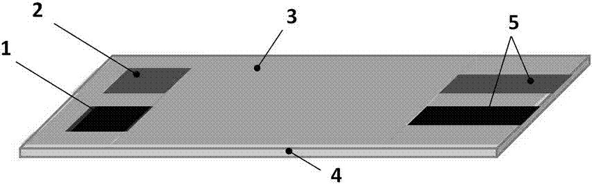 Glucose oxidase screen-printed electrode for online detection and preparation method thereof