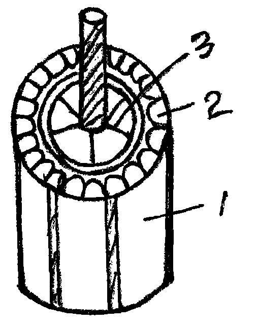 Wind and light supplementary electric vehicle and production technology