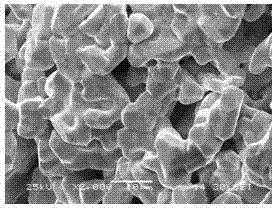 Preparation method of porous niobium for medical implant material