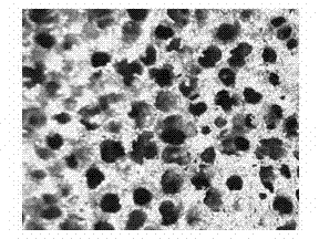 Preparation method of porous niobium for medical implant material