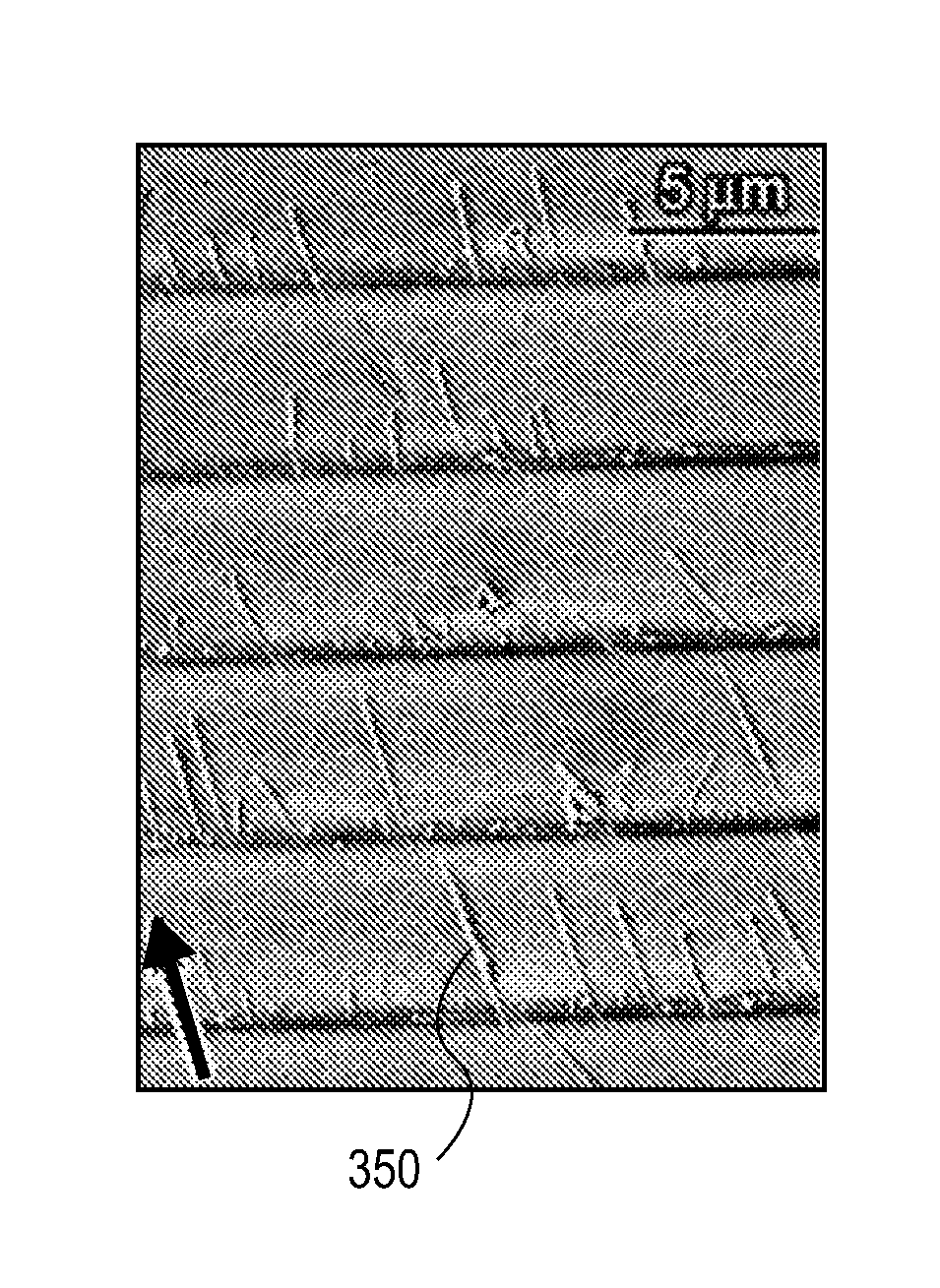 Controlled placement and orientation of nanostructures