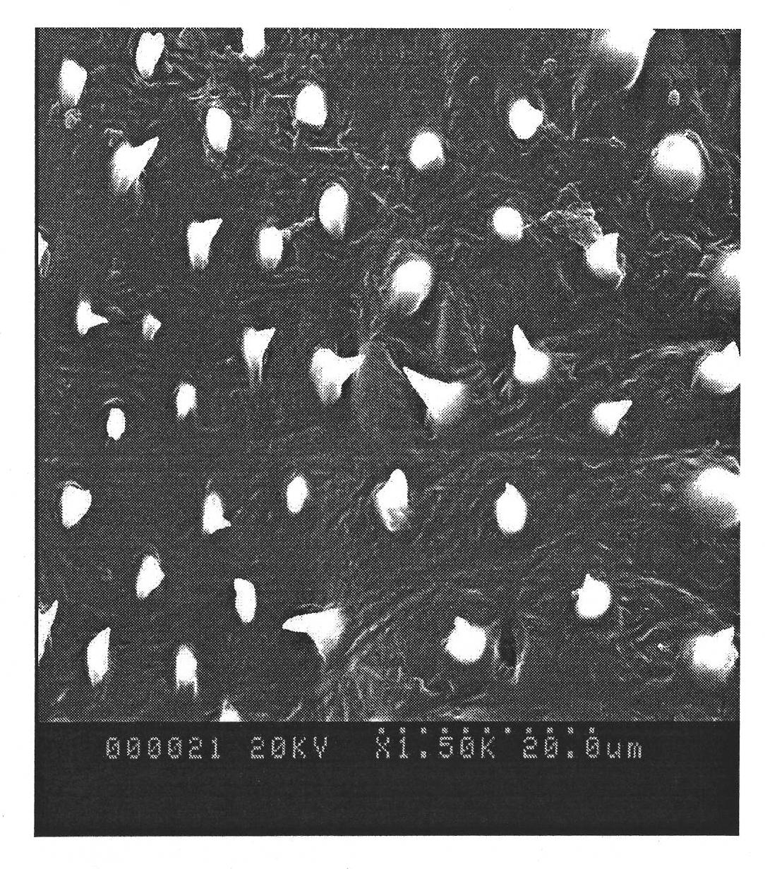 Design method of acoustic sensor by imitating ultra structure of orthoptera singing insect patagium