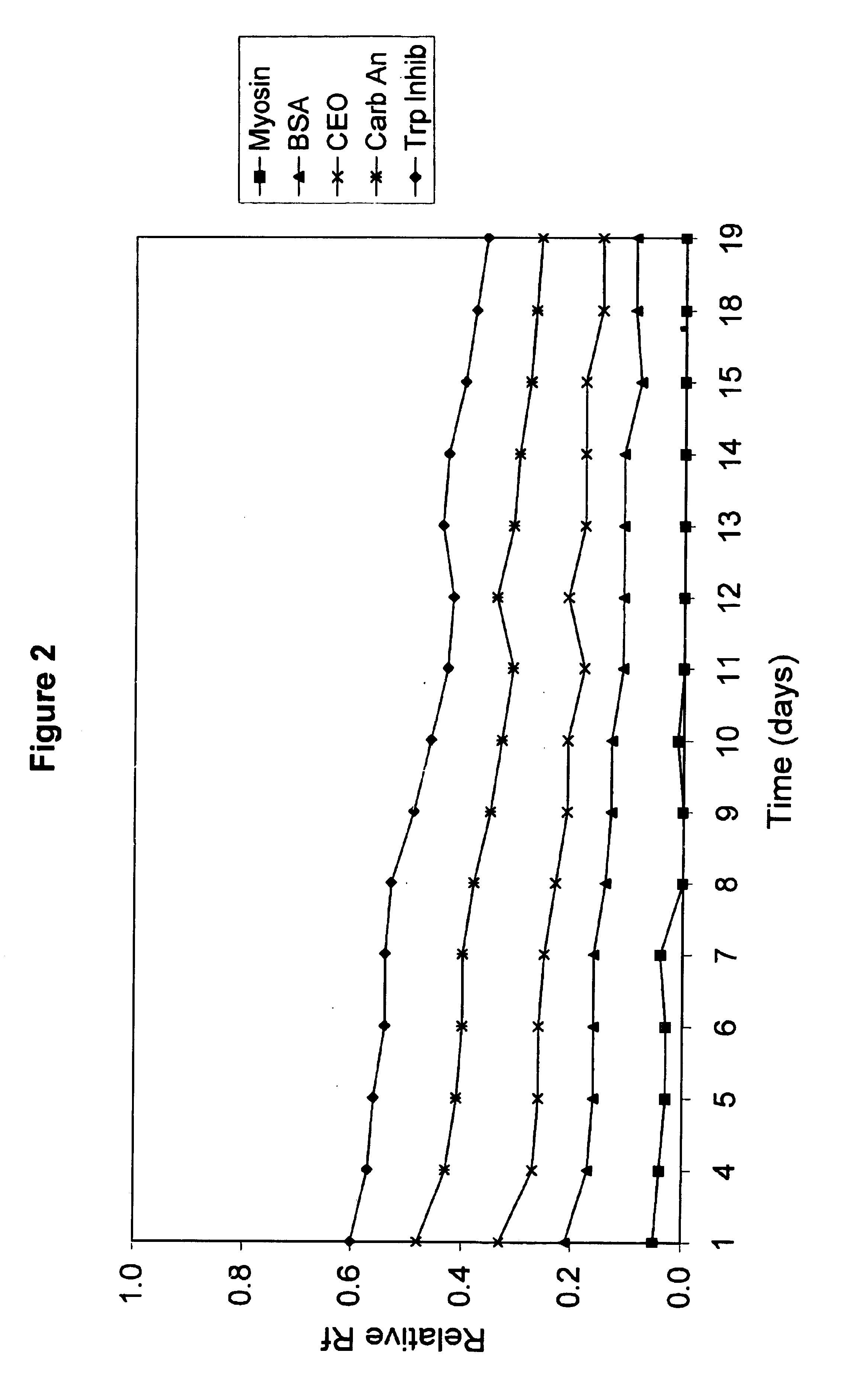 Electrophoresis gels