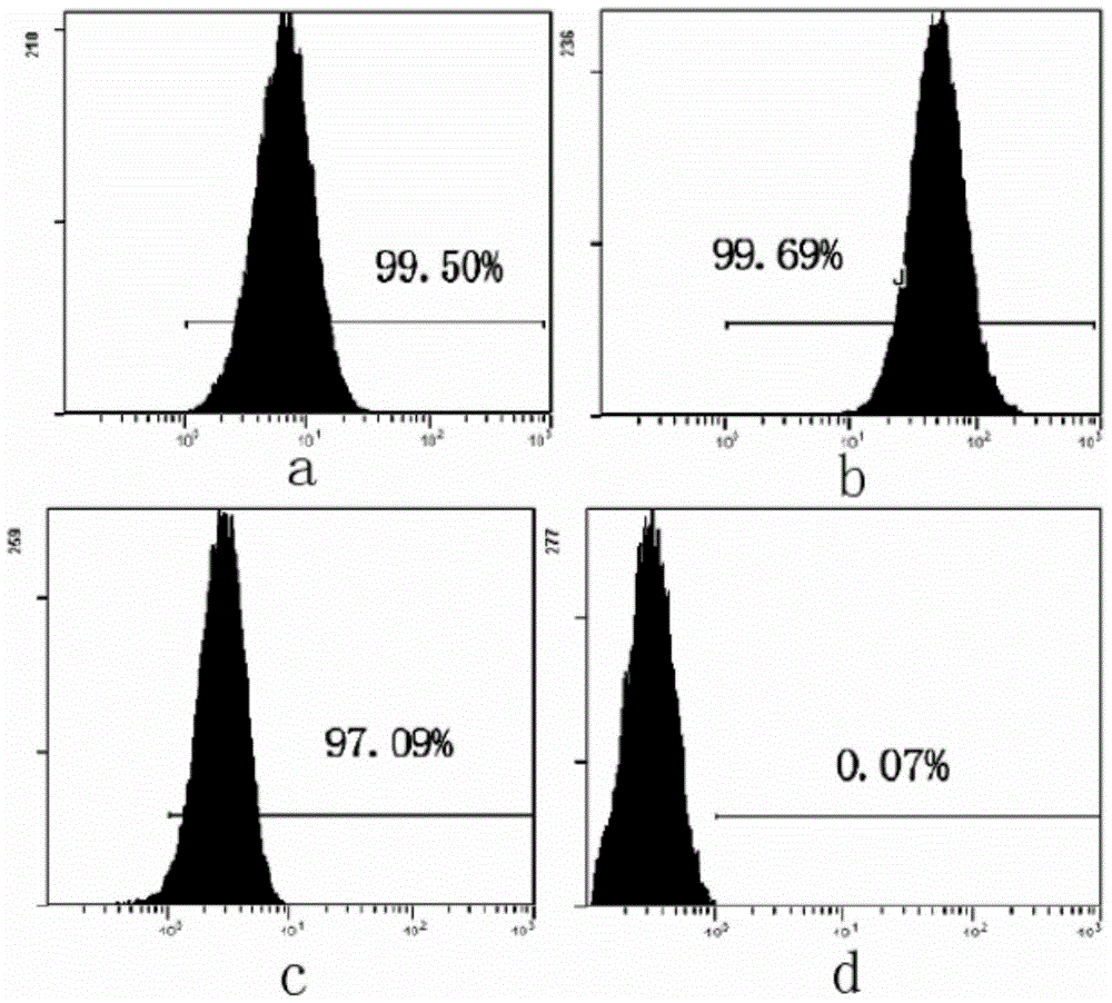 A cryopreservation solution for human umbilical cord Wharton's jelly tissue and its preparation and application