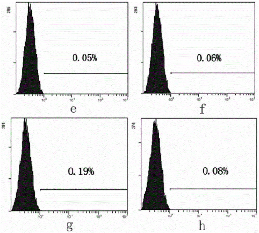 A cryopreservation solution for human umbilical cord Wharton's jelly tissue and its preparation and application