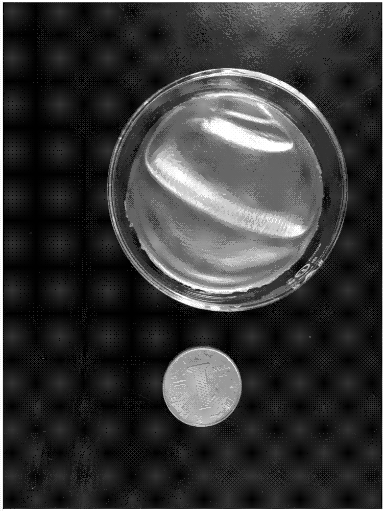 Preparation method of visible sulfanilamide molecular engram detection membrane