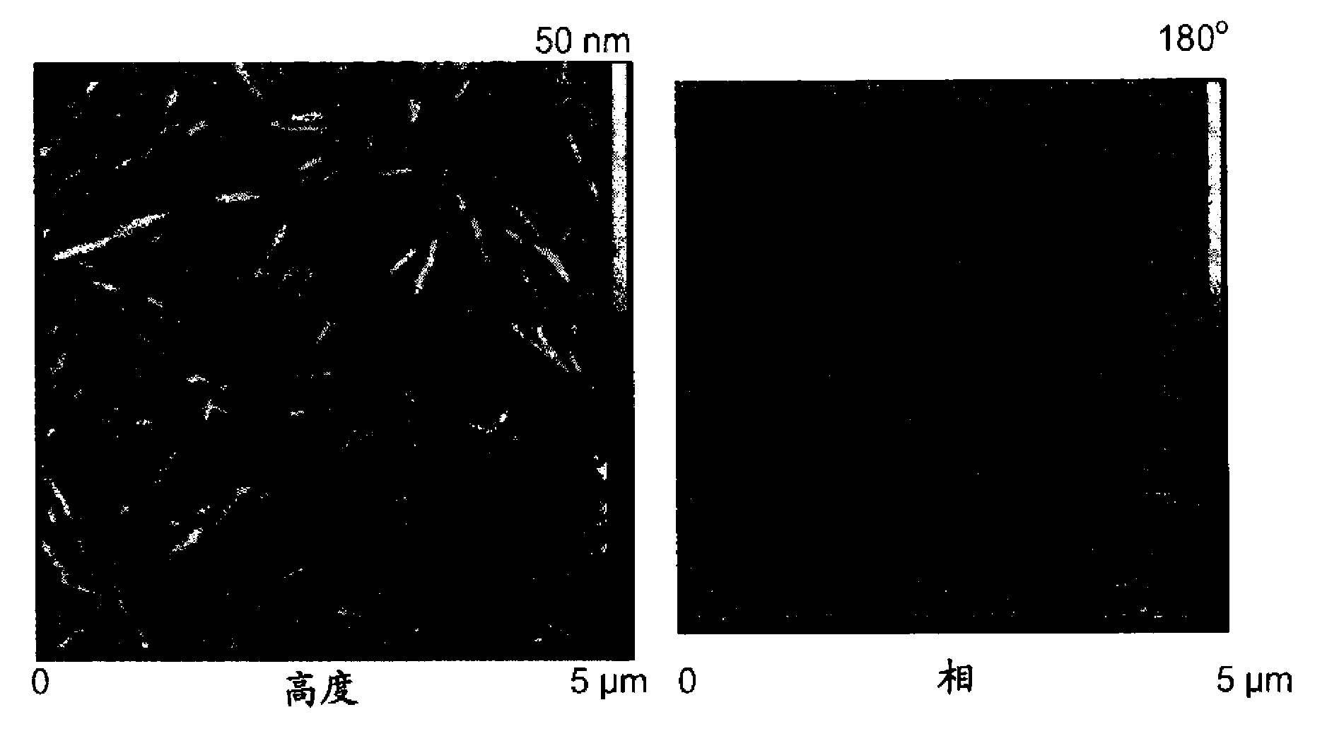 Cellulose nanocrystals from renewable biomass