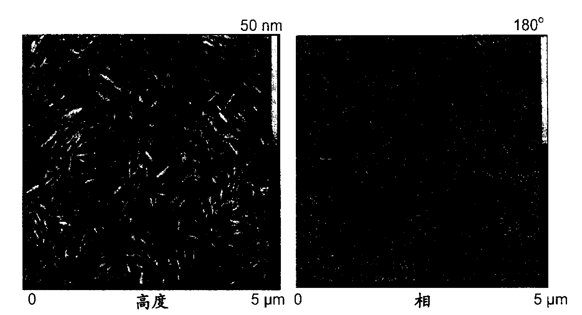 Cellulose nanocrystals from renewable biomass