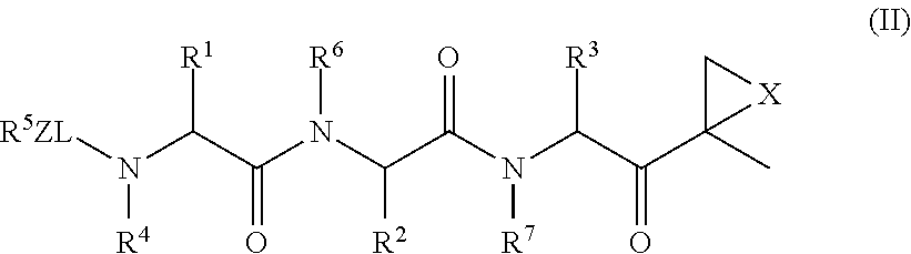 Use of Peptide Epoxyketones for Metastasis Suppression