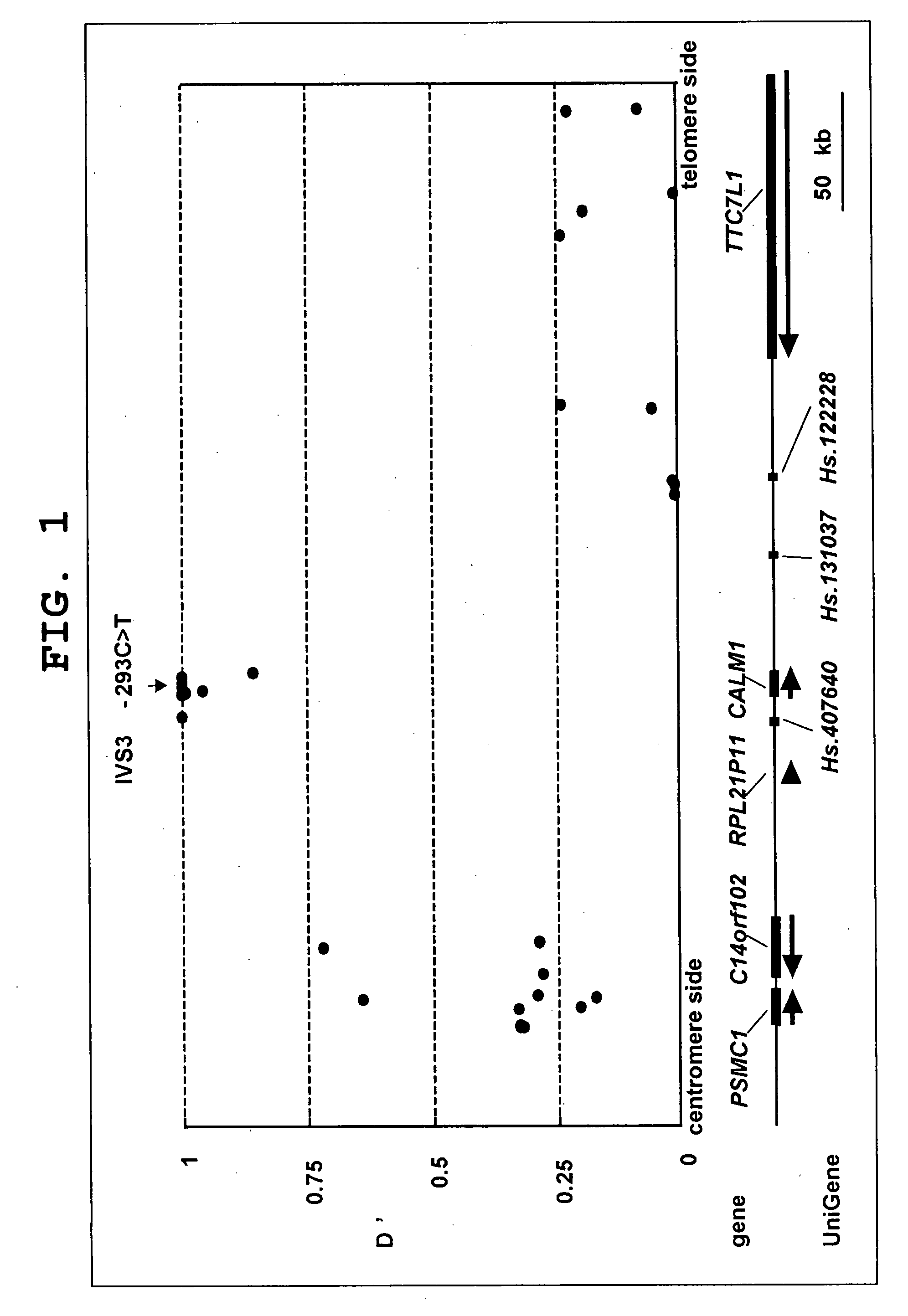 Bone/joint disease sensitivity gene and use thereof