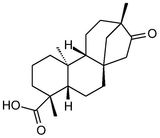 Application of isosteviol in preparation of medicine for treating autoimmune hepatitis