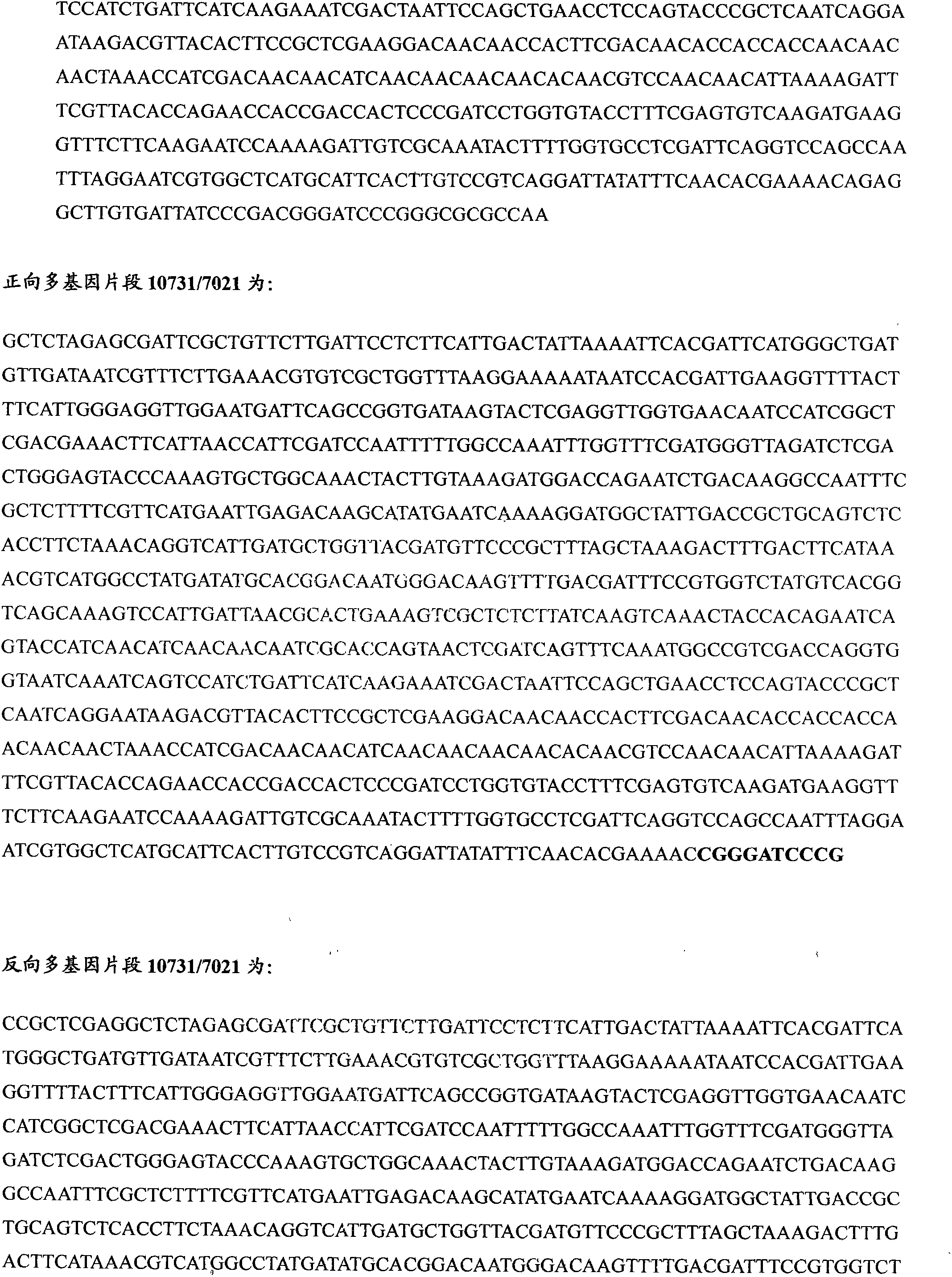 Preparation method of panonychus citri me gregor chitin gene-based double-target transgenetic vector