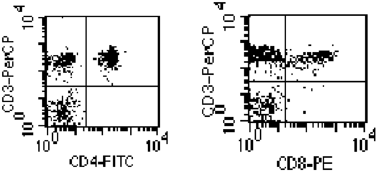 Establishment of Immunosuppressive Model in Rhesus Monkeys