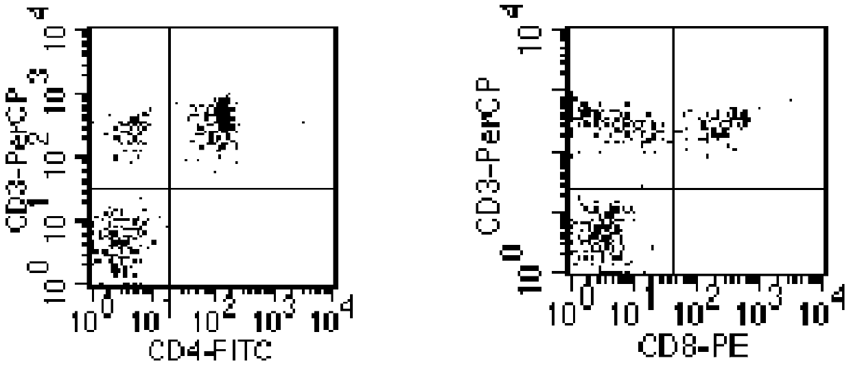 Establishment of Immunosuppressive Model in Rhesus Monkeys