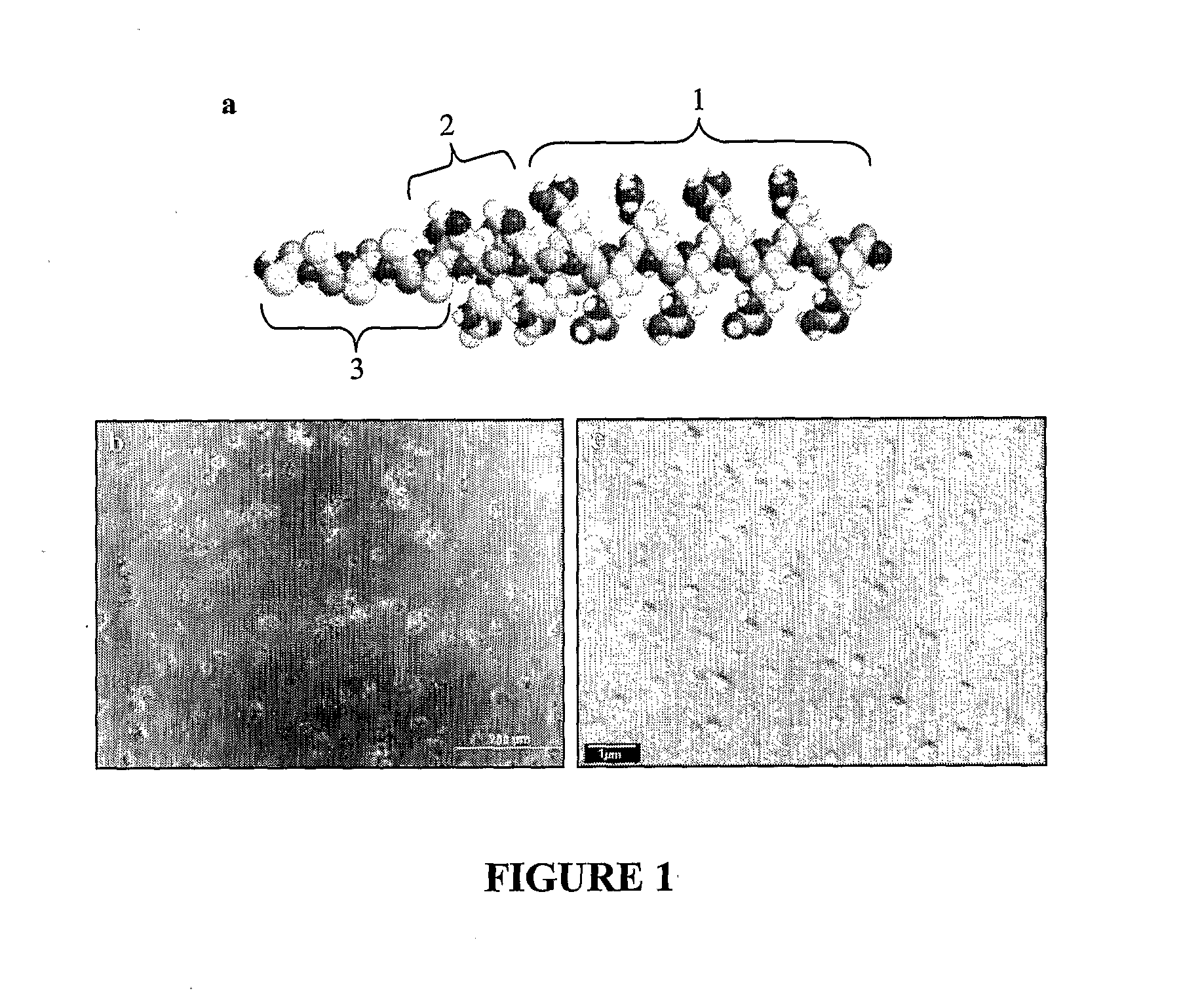 Cationic peptide for delivering an agent into a cell