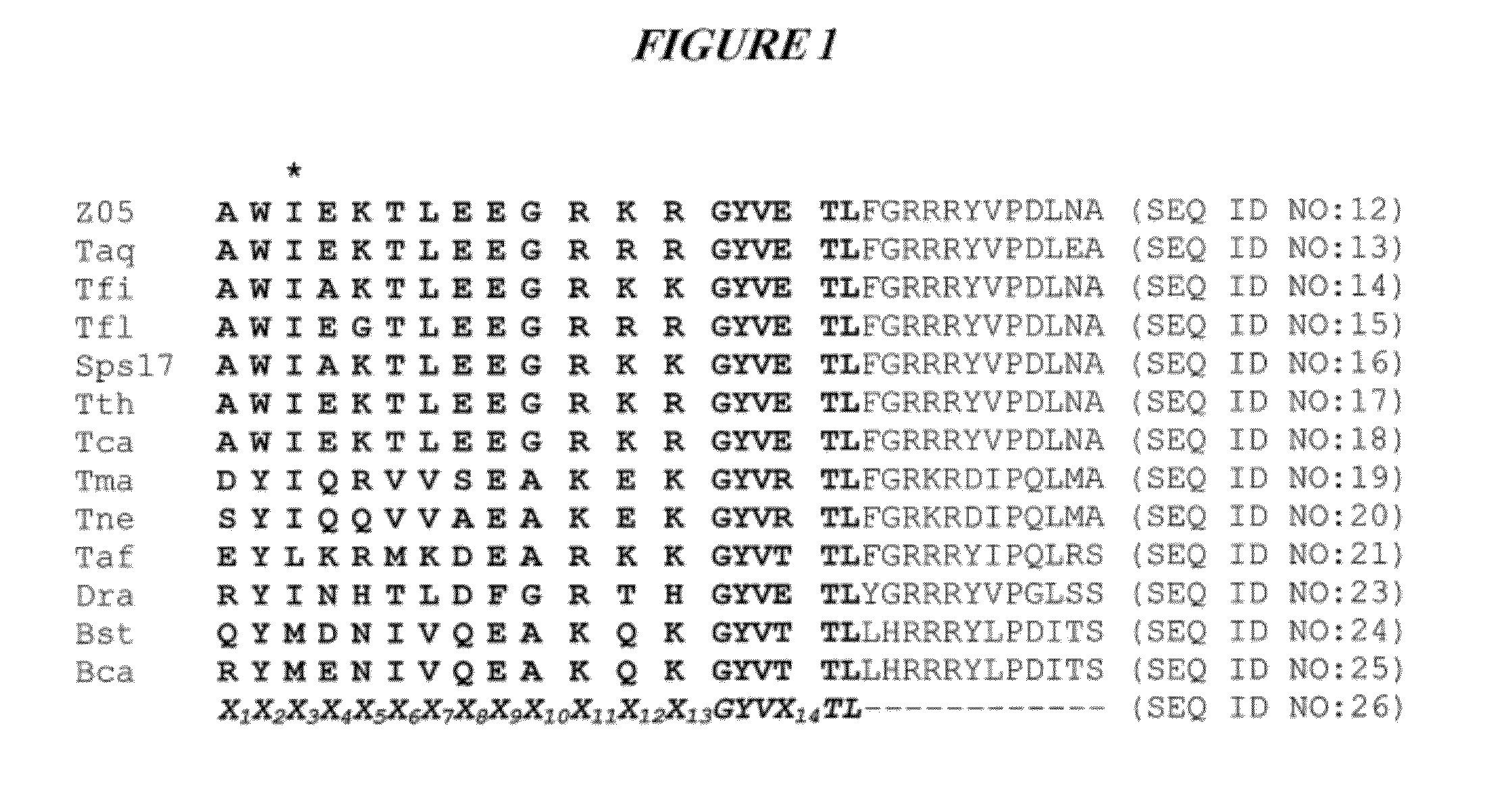 DNA polymerases with improved activity