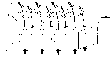 Multifunctional purified ecological floating wetland and its manufacturing method