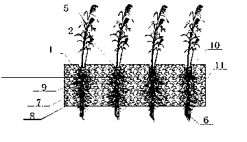 Multifunctional purified ecological floating wetland and its manufacturing method