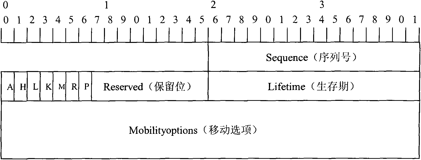 Multiple LMA selection method in mobile node switching process in PWIPv6 domain