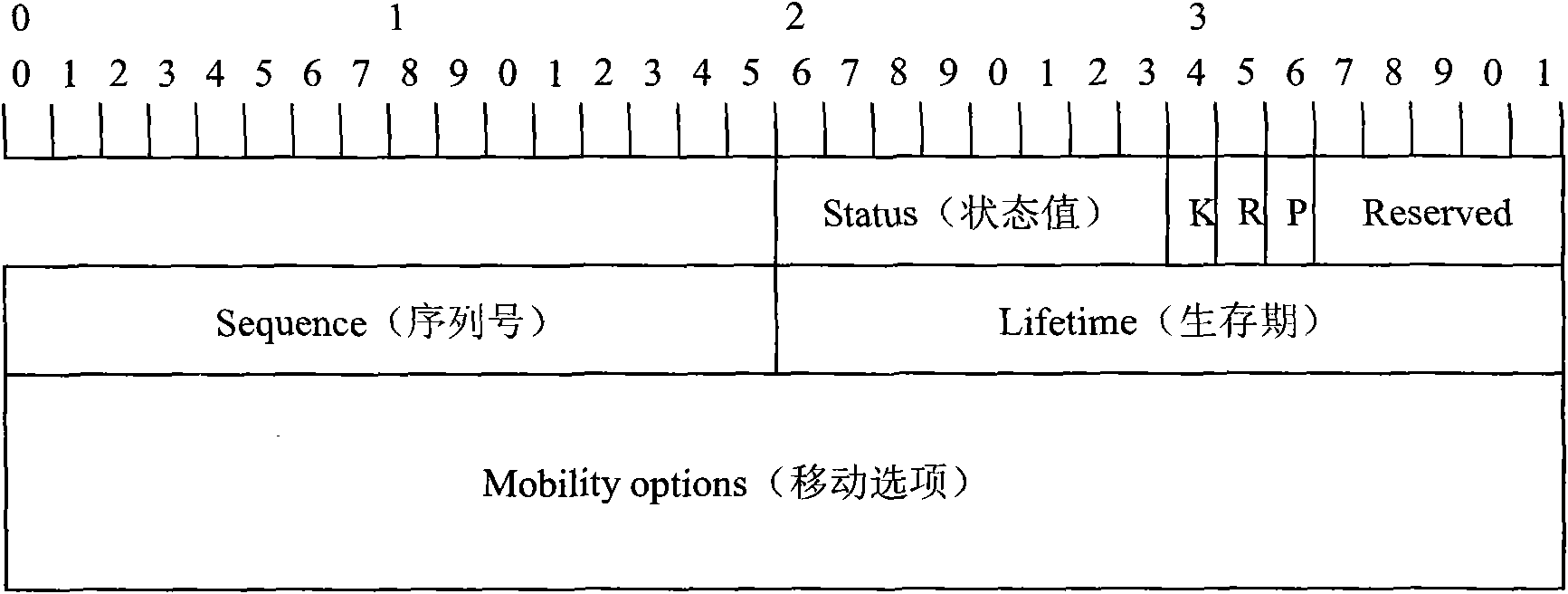 Multiple LMA selection method in mobile node switching process in PWIPv6 domain