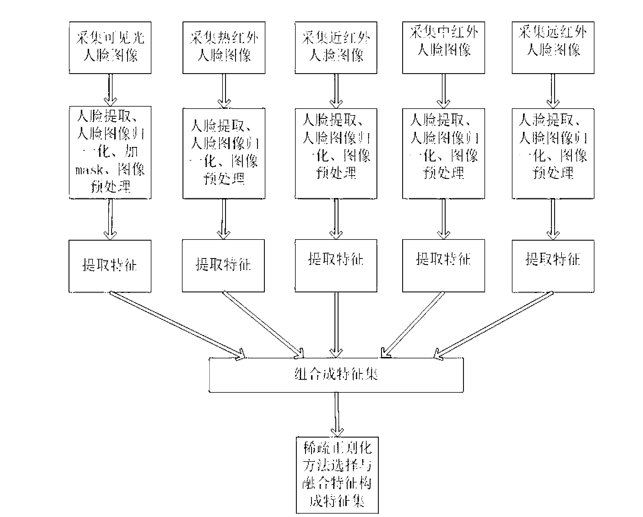 Sparse-regularization-based face recognition method capable of realizing multiband face image information fusion