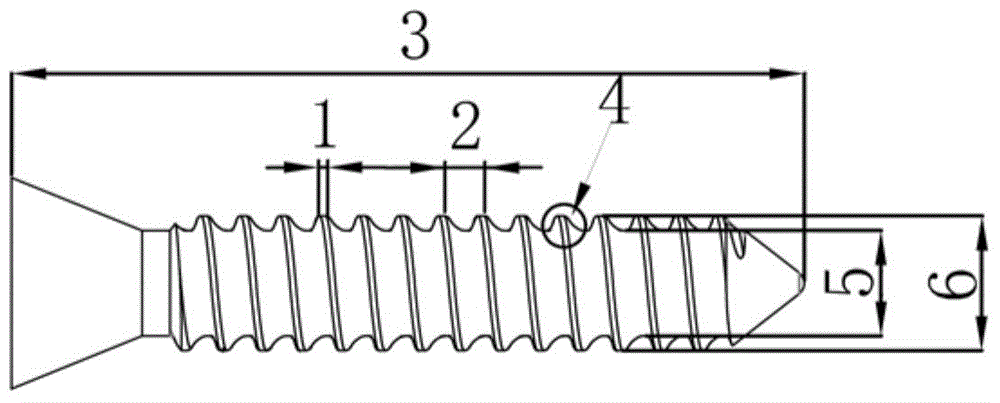 Directionally degradable and absorbable magnesium bone screw and preparation method thereof