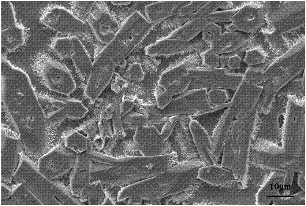 Cordierite transparent wear resistant glaze and preparation method thereof