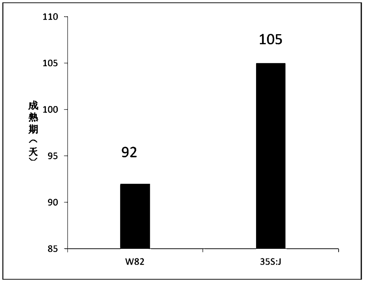 Soybean growth period gene j and its encoded protein