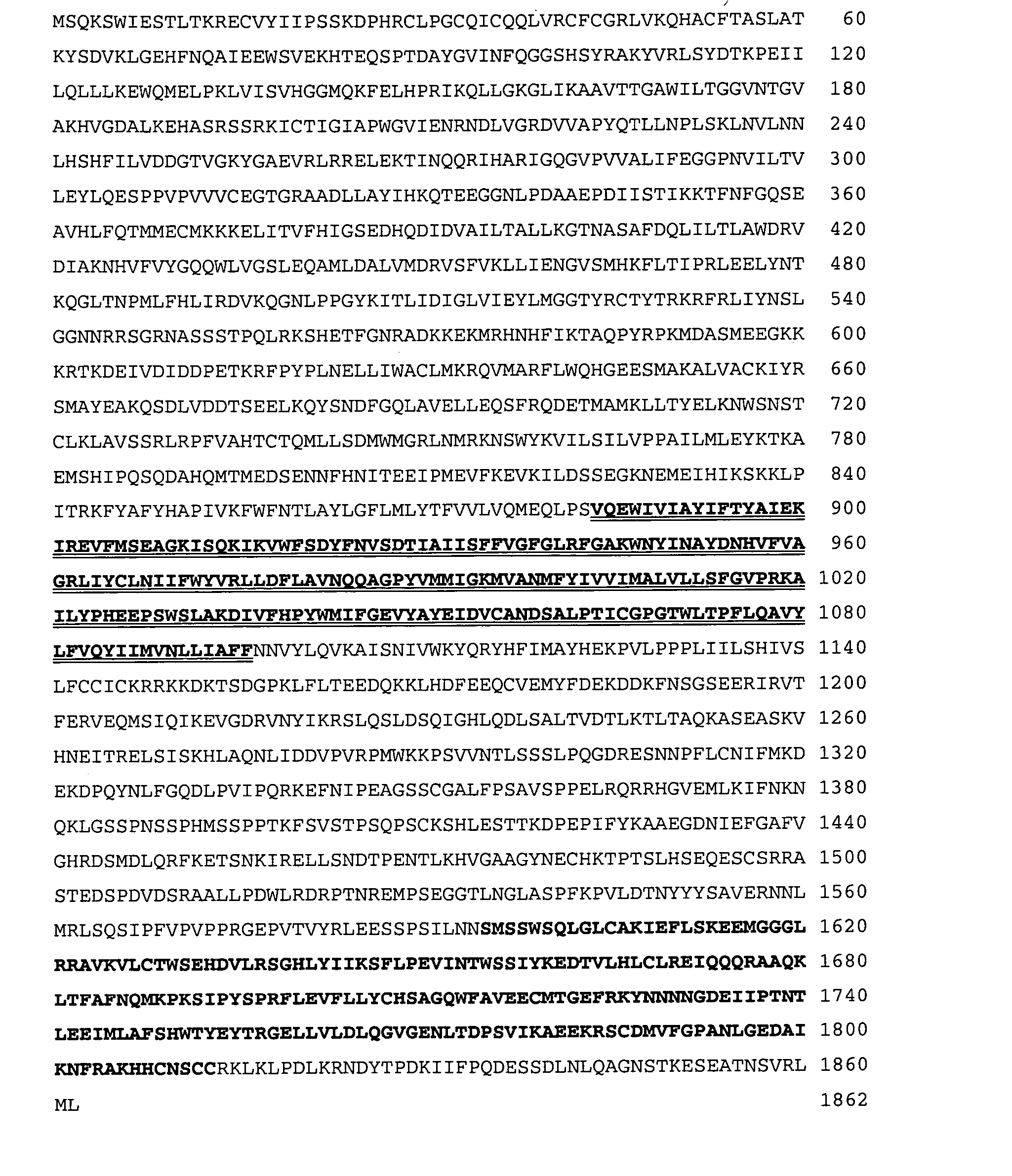 Rat TRPM7 polynucleotide and encoded protein