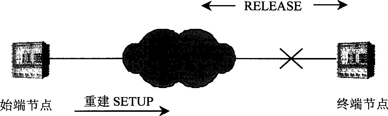 System for implementing elastic permanent virtual connection and its method