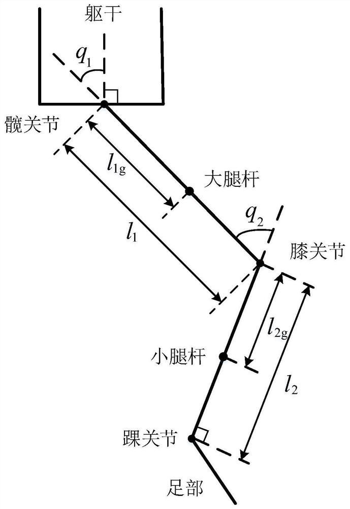 Backstepping-based lower limb exoskeleton control method