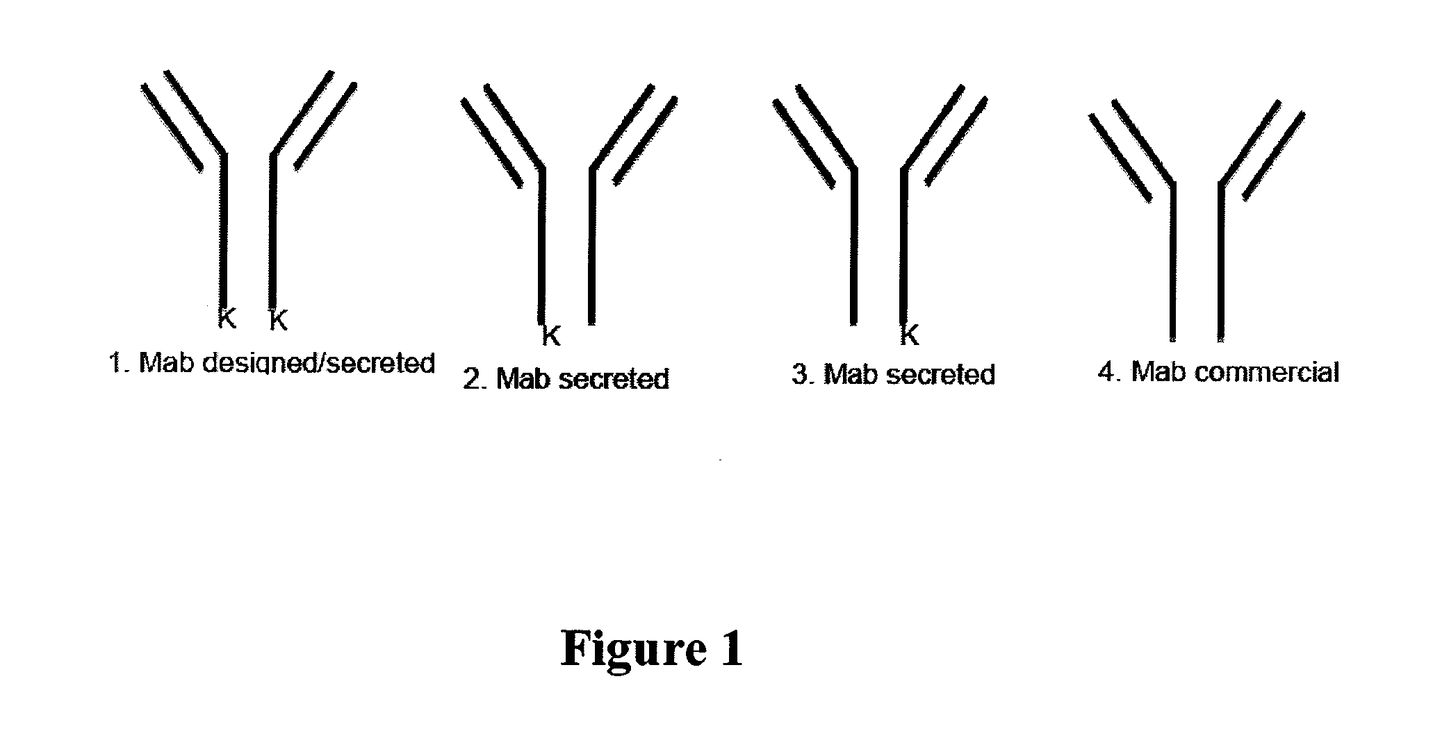 Fusion immunomodulatory proteins and methods for making same