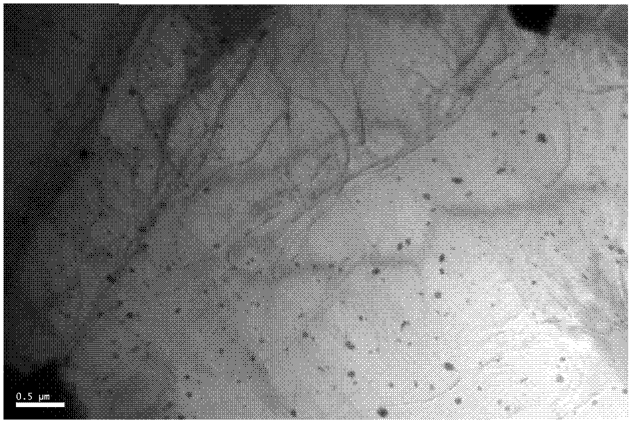 Preparation method of magnesium alloy reinforced by nano-quasi-crystal particles