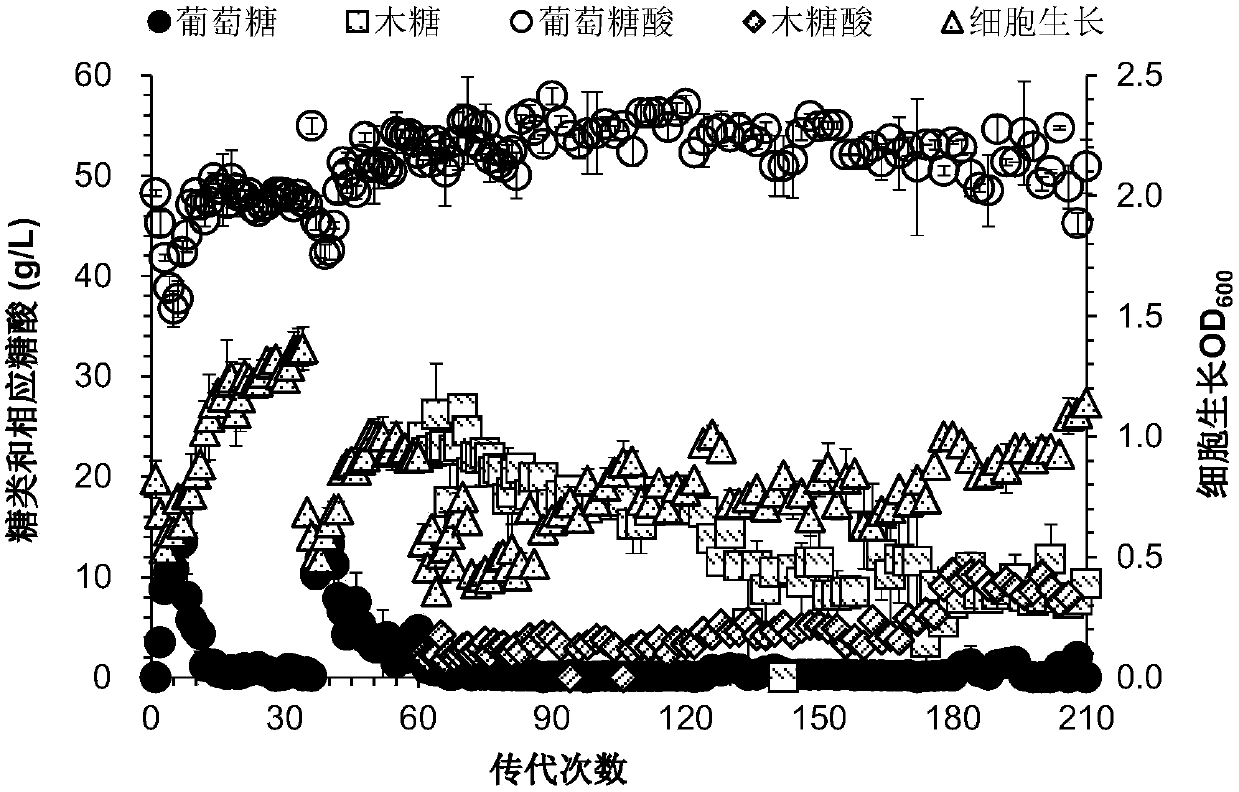 Adaptive evolution method for gluconobacter oxydans efficiently utilizing non-glucose carbon sources and application of adaptive evolution method