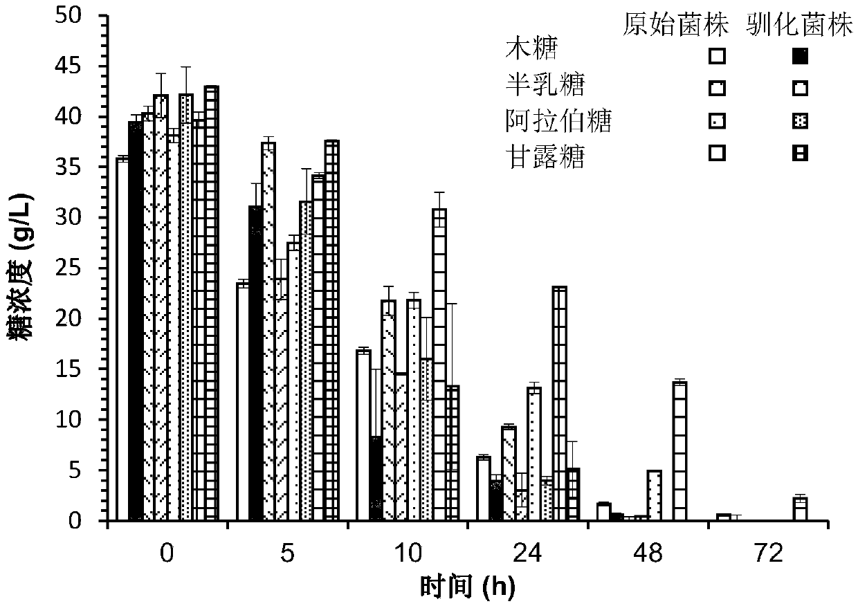 Adaptive evolution method for gluconobacter oxydans efficiently utilizing non-glucose carbon sources and application of adaptive evolution method