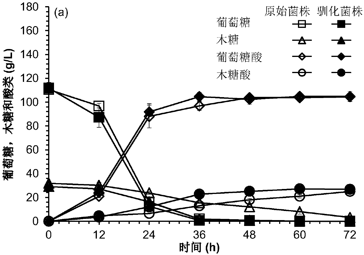 Adaptive evolution method for gluconobacter oxydans efficiently utilizing non-glucose carbon sources and application of adaptive evolution method