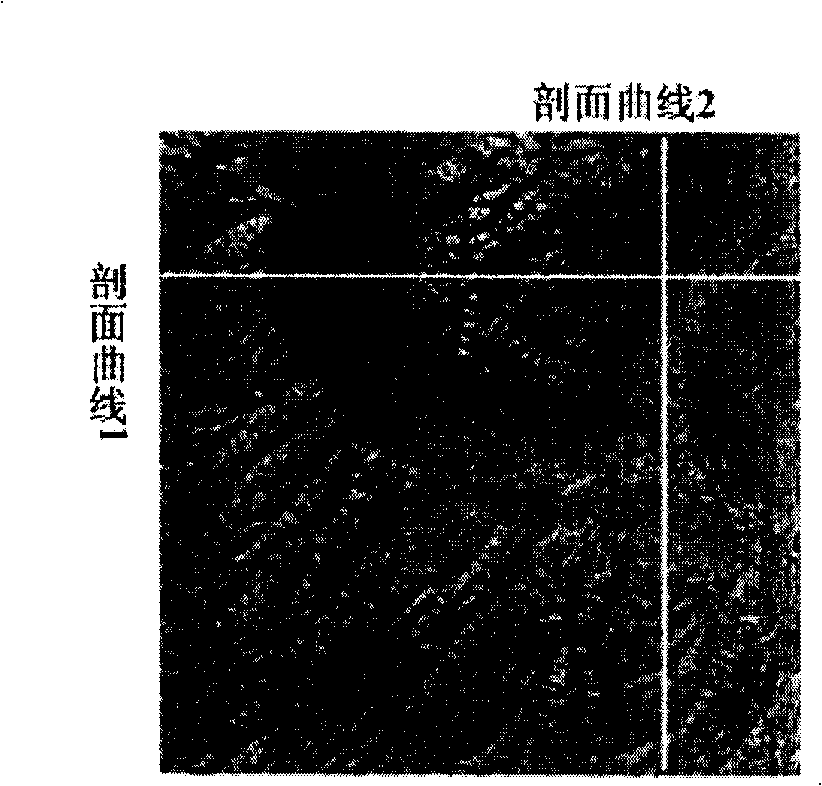 Topographic survey method