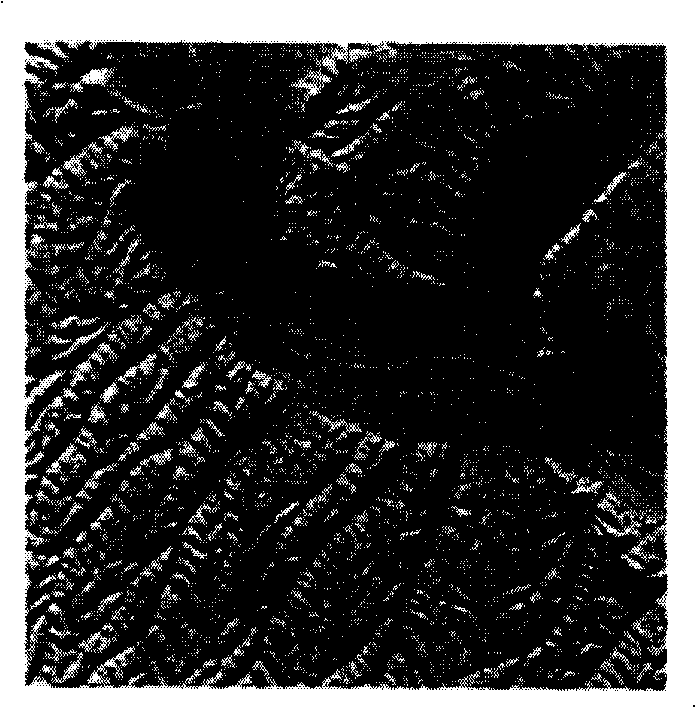 Topographic survey method