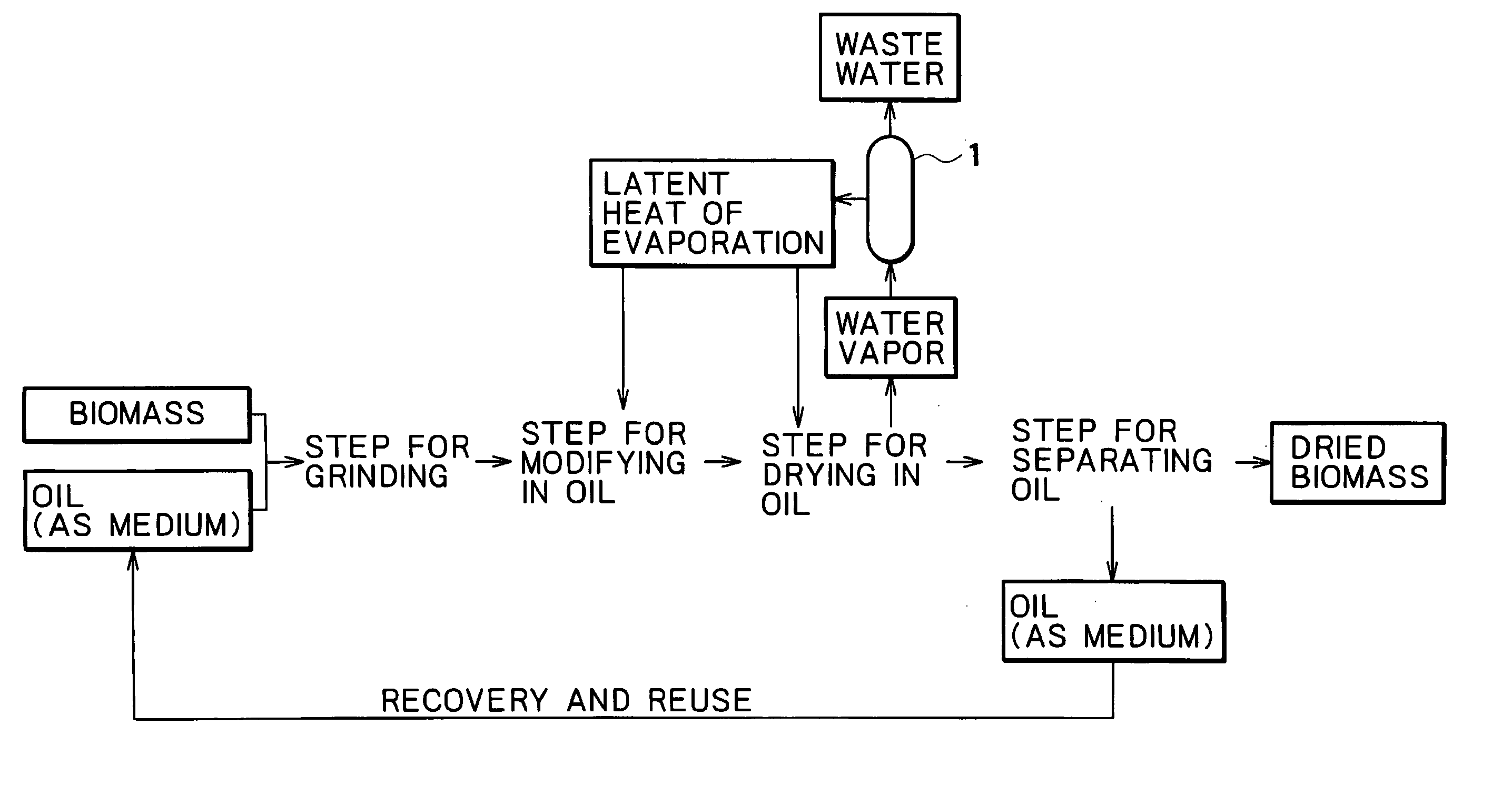 Method for drying plant-derived biomass and method for producing biomass fuel